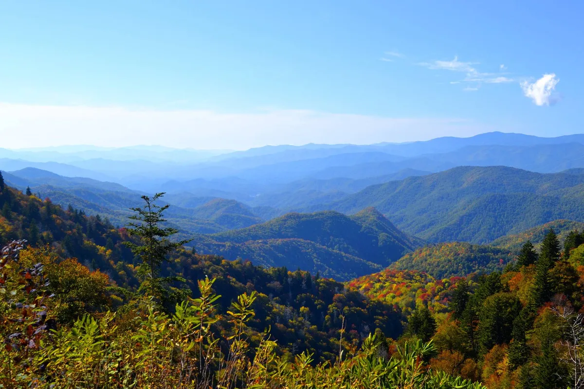 A picturesque mountain view showcasing a sweeping range with vibrant fall foliage beneath a bright blue sky, perfect for hiking, photography, and bird watching.
