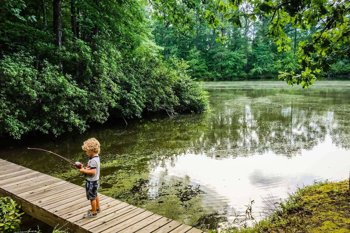 A serene lakeside or riverside setting featuring a child fishing from a wooden dock, surrounded by lush greenery and calm water reflecting the sky. The image exudes tranquility and the joy of simple outdoor family moments.